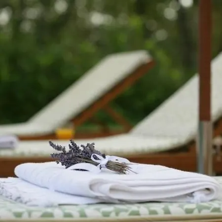 Holiday home In Mit Terrasse, Whirlpool Und Garten