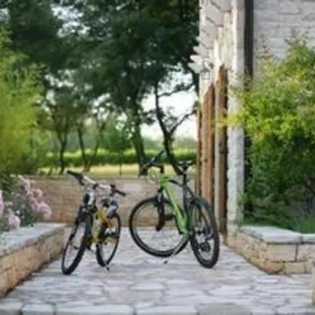 Holiday home In Mit Terrasse, Whirlpool Und Garten